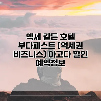 엑세 칼튼 호텔 부다페스트 (역세권 비즈니스) 아고다 할인 예약정보