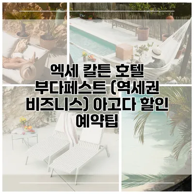 엑세 칼튼 호텔 부다페스트 (역세권 비즈니스) 아고다 할인 예약팁