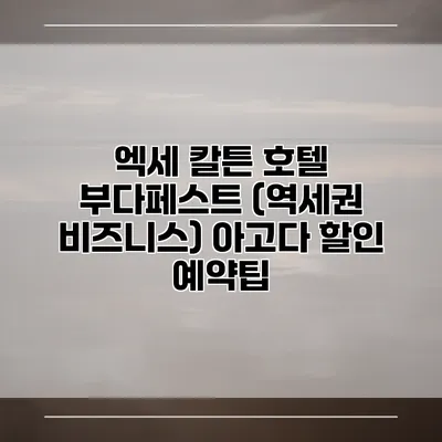 엑세 칼튼 호텔 부다페스트 (역세권 비즈니스) 아고다 할인 예약팁