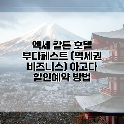 엑세 칼튼 호텔 부다페스트 (역세권 비즈니스) 아고다 할인예약 방법