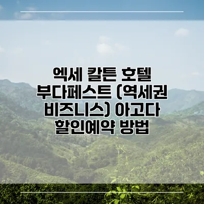 엑세 칼튼 호텔 부다페스트 (역세권 비즈니스) 아고다 할인예약 방법