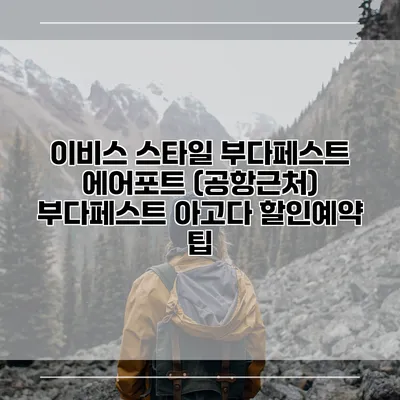 이비스 스타일 부다페스트 에어포트 (공항근처) 부다페스트 아고다 할인예약 팁