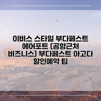 이비스 스타일 부다페스트 에어포트 (공항근처 비즈니스) 부다페스트 아고다 할인예약 팁