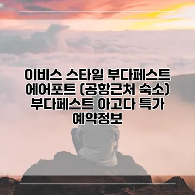 이비스 스타일 부다페스트 에어포트 (공항근처 숙소) 부다페스트 아고다 특가 예약정보