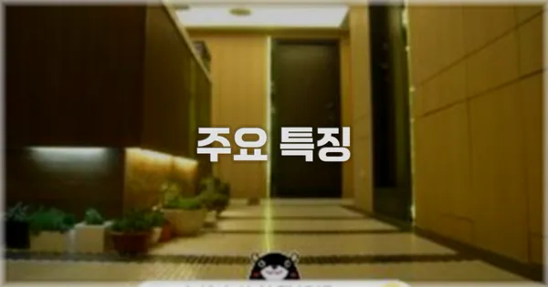 ✨ 주요 특징