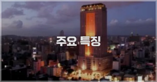 ✨ 주요 특징
