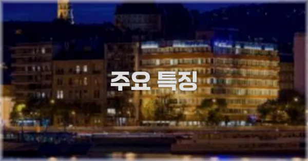✨ 주요 특징