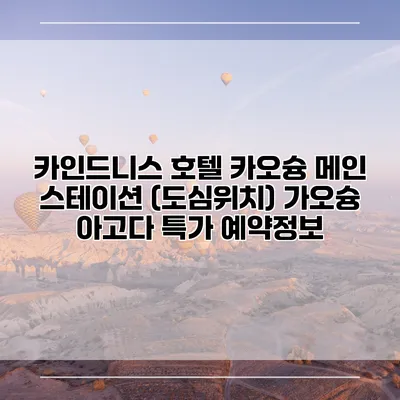 카인드니스 호텔 카오슝 메인 스테이션 (도심위치) 가오슝 아고다 특가 예약정보