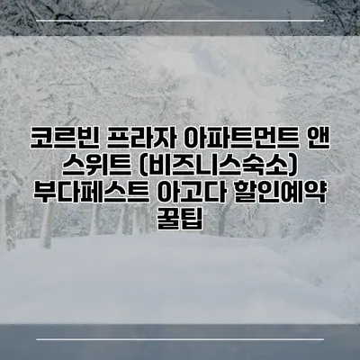 코르빈 프라자 아파트먼트 앤 스위트 (비즈니스숙소) 부다페스트 아고다 할인예약 꿀팁