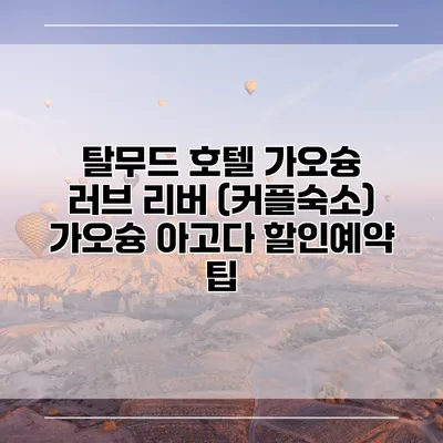탈무드 호텔 가오슝 러브 리버 (커플숙소) 가오슝 아고다 할인예약 팁