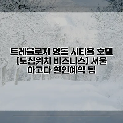 트레블로지 명동 시티홀 호텔 (도심위치 비즈니스) 서울 아고다 할인예약 팁