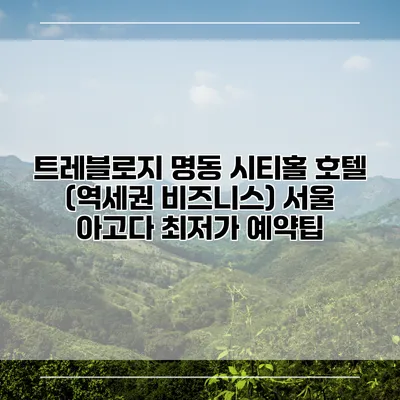 트레블로지 명동 시티홀 호텔 (역세권 비즈니스) 서울 아고다 최저가 예약팁
