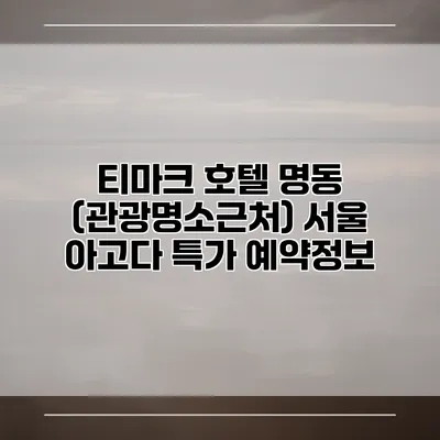 티마크 호텔 명동 (관광명소근처) 서울 아고다 특가 예약정보