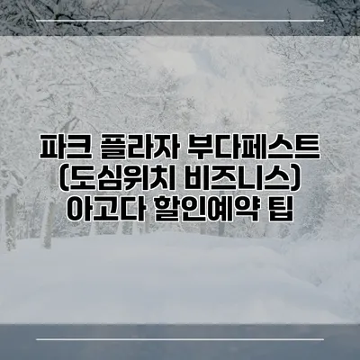 파크 플라자 부다페스트 (도심위치 비즈니스) 아고다 할인예약 팁