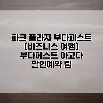 파크 플라자 부다페스트 (비즈니스 여행) 부다페스트 아고다 할인예약 팁