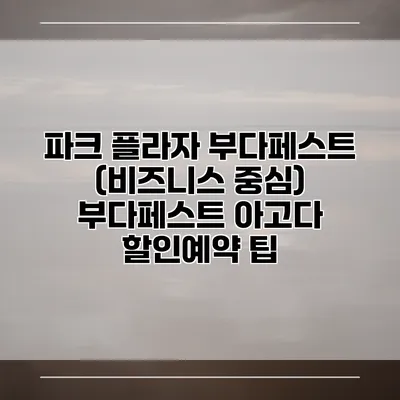파크 플라자 부다페스트 (비즈니스 중심) 부다페스트 아고다 할인예약 팁