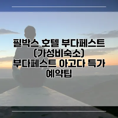 필박스 호텔 부다페스트 (가성비숙소) 부다페스트 아고다 특가 예약팁