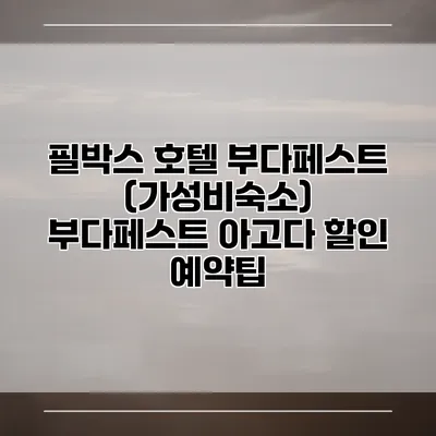필박스 호텔 부다페스트 (가성비숙소) 부다페스트 아고다 할인 예약팁
