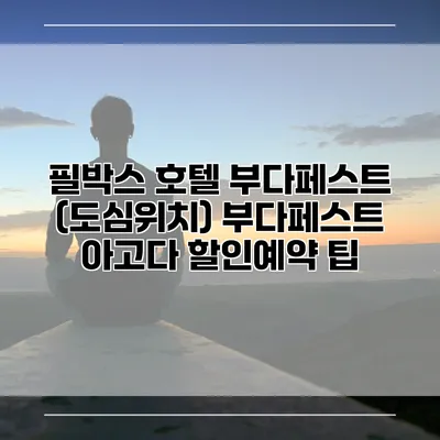 필박스 호텔 부다페스트 (도심위치) 부다페스트 아고다 할인예약 팁