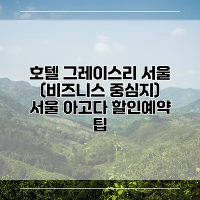 호텔 그레이스리 서울 (비즈니스 중심지) 서울 아고다 할인예약 팁