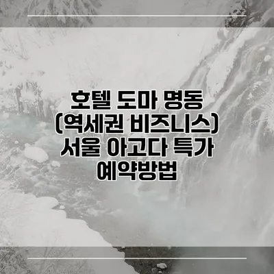 호텔 도마 명동 (역세권 비즈니스) 서울 아고다 특가 예약방법