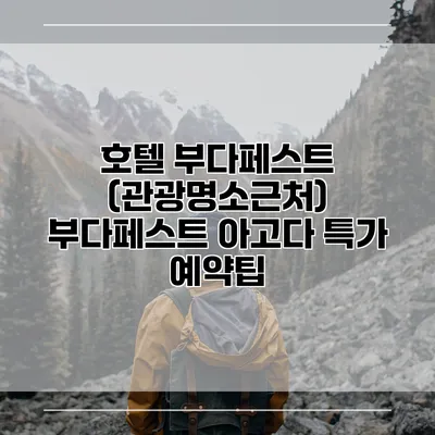 호텔 부다페스트 (관광명소근처) 부다페스트 아고다 특가 예약팁
