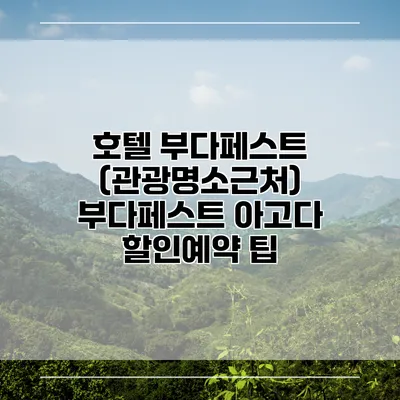 호텔 부다페스트 (관광명소근처) 부다페스트 아고다 할인예약 팁