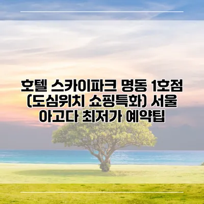 호텔 스카이파크 명동 1호점 (도심위치 쇼핑특화) 서울 아고다 최저가 예약팁