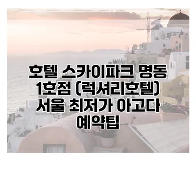 호텔 스카이파크 명동 1호점 (럭셔리호텔) 서울 최저가 아고다 예약팁