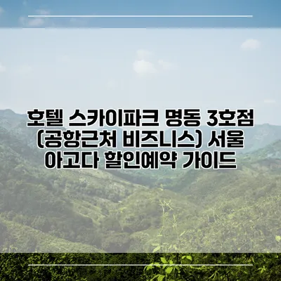 호텔 스카이파크 명동 3호점 (공항근처 비즈니스) 서울 아고다 할인예약 가이드