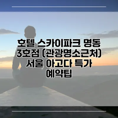 호텔 스카이파크 명동 3호점 (관광명소근처) 서울 아고다 특가 예약팁