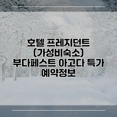 호텔 프레지던트 (가성비숙소) 부다페스트 아고다 특가 예약정보