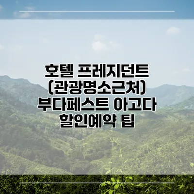 호텔 프레지던트 (관광명소근처) 부다페스트 아고다 할인예약 팁