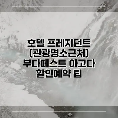 호텔 프레지던트 (관광명소근처) 부다페스트 아고다 할인예약 팁