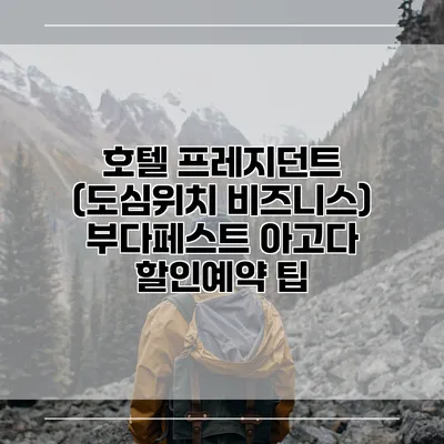 호텔 프레지던트 (도심위치 비즈니스) 부다페스트 아고다 할인예약 팁