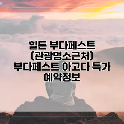 힐튼 부다페스트 (관광명소근처) 부다페스트 아고다 특가 예약정보