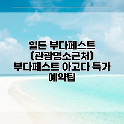힐튼 부다페스트 (관광명소근처) 부다페스트 아고다 특가 예약팁