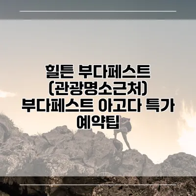 힐튼 부다페스트 (관광명소근처) 부다페스트 아고다 특가 예약팁