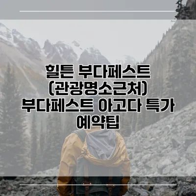 힐튼 부다페스트 (관광명소근처) 부다페스트 아고다 특가 예약팁