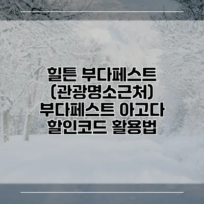 힐튼 부다페스트 (관광명소근처) 부다페스트 아고다 할인코드 활용법