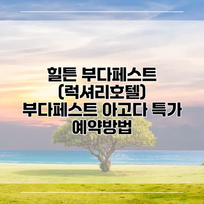 힐튼 부다페스트 (럭셔리호텔) 부다페스트 아고다 특가 예약방법