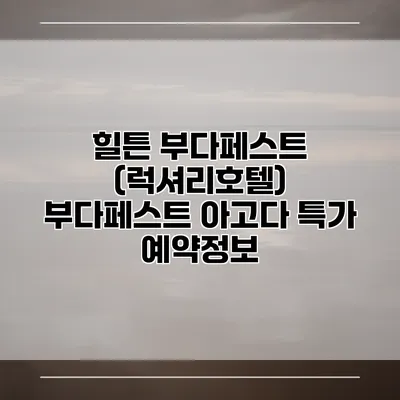 힐튼 부다페스트 (럭셔리호텔) 부다페스트 아고다 특가 예약정보