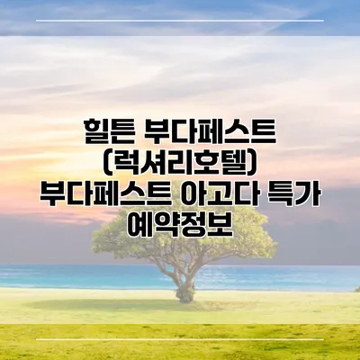 힐튼 부다페스트 (럭셔리호텔) 부다페스트 아고다 특가 예약정보