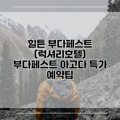 힐튼 부다페스트 (럭셔리호텔) 부다페스트 아고다 특가 예약팁