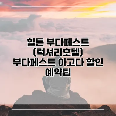 힐튼 부다페스트 (럭셔리호텔) 부다페스트 아고다 할인 예약팁