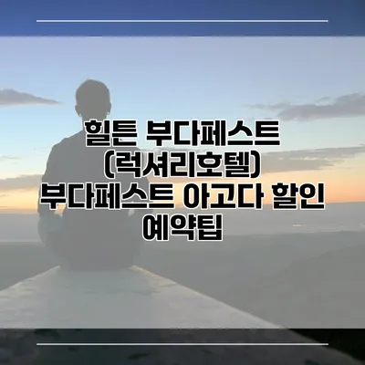 힐튼 부다페스트 (럭셔리호텔) 부다페스트 아고다 할인 예약팁