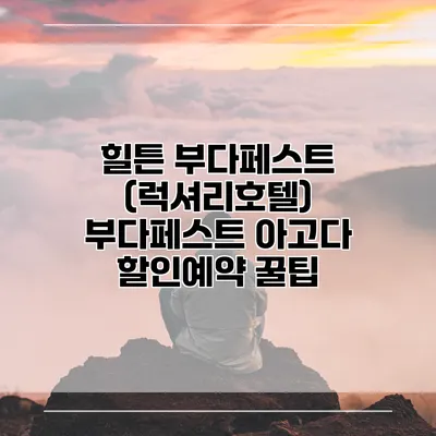 힐튼 부다페스트 (럭셔리호텔) 부다페스트 아고다 할인예약 꿀팁