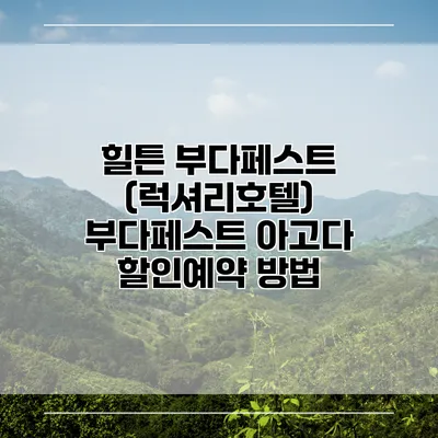 힐튼 부다페스트 (럭셔리호텔) 부다페스트 아고다 할인예약 방법