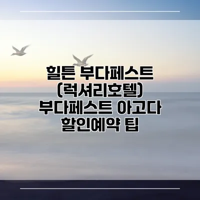 힐튼 부다페스트 (럭셔리호텔) 부다페스트 아고다 할인예약 팁