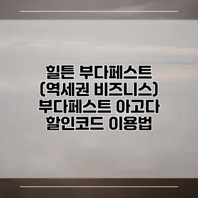 힐튼 부다페스트 (역세권 비즈니스) 부다페스트 아고다 할인코드 이용법